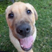 Photo of Avery