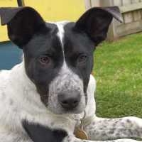 Photo of Statler