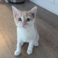 Photo of Georgia