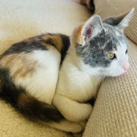 Photo of Lola