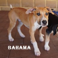 Photo of Bahama