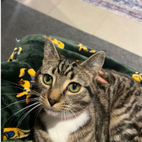 Photo of Cousin Jeffrey