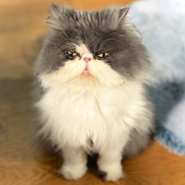 Photo of 😶‍🌫️cloud😶‍🌫️