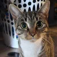 Photo of Sheila (Would Like To Live On A Property)