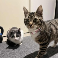 Photo of Cousin Jeffrey