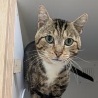 Photo of 🎅 Grinch 6743 🎅