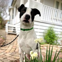 Photo of Poco 