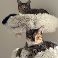 Photo of Milly And Charlie 