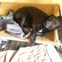 Photo of Molly