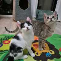 Photo of Audrey 🌹🌹🌹