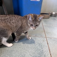 Photo of Sophie 😻