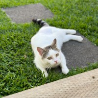 Photo of Sugar