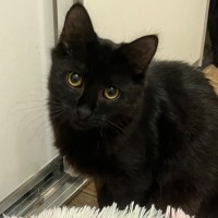 Photo of Colby