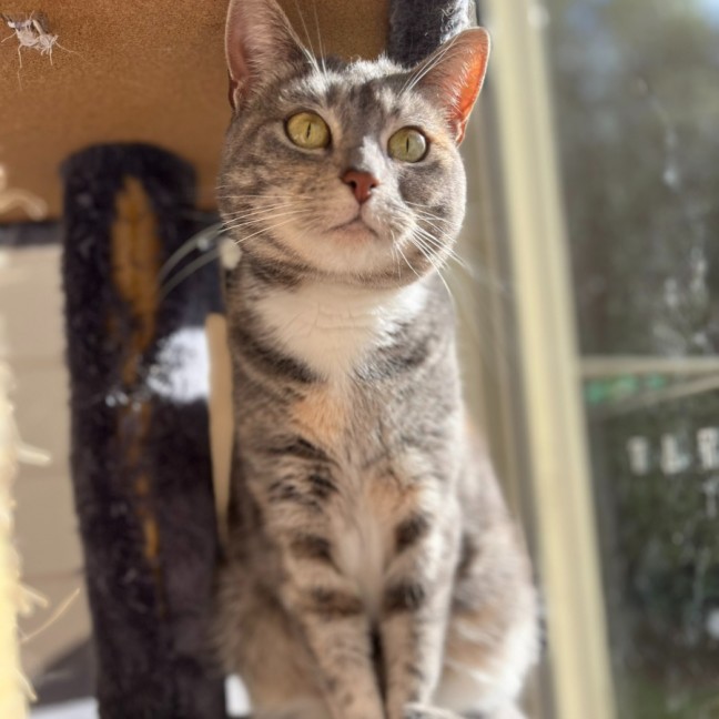 Photo of Sylvia