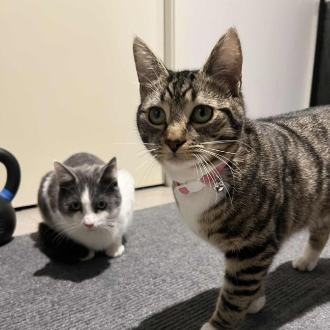 Photo of Cousin Jeffrey