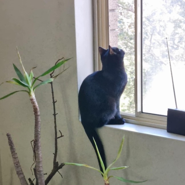 Photo of Storm