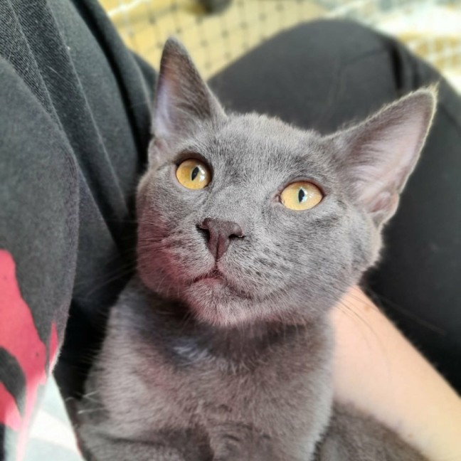 Photo of Blu
