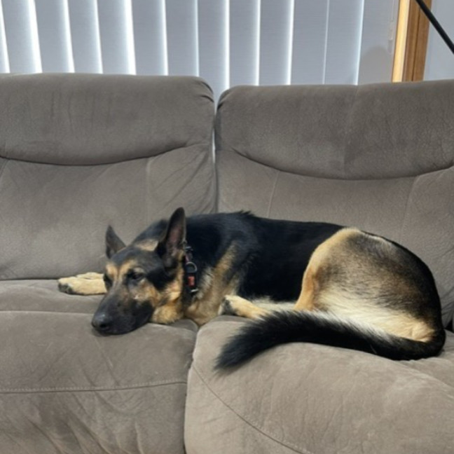 Photo of Maxamillion (Max)