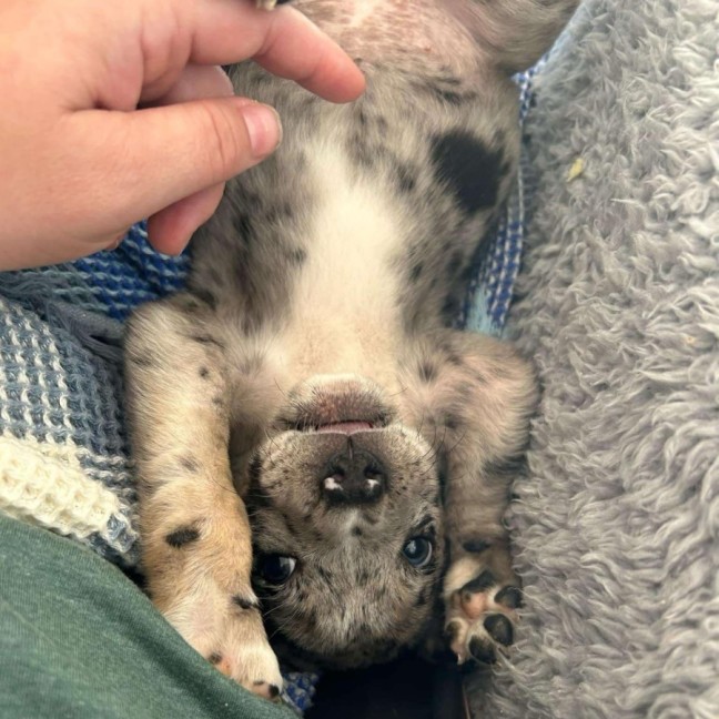 Photo of Jobberknoll