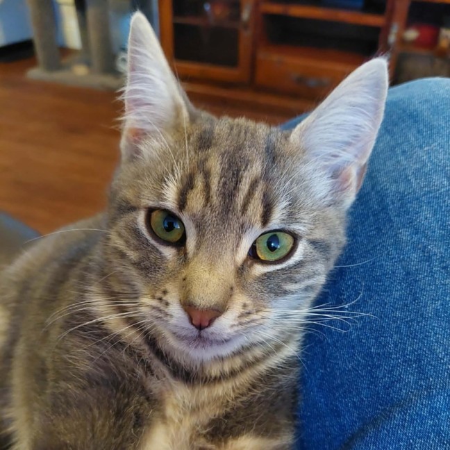 Photo of Luigi