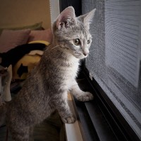 Photo of Maggie 🌈⭐️