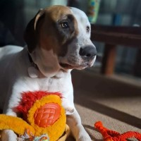 Photo of Dakota