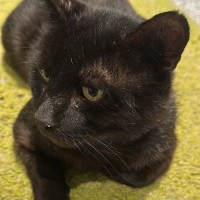 Photo of Thomas