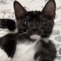 Photo of Wisey