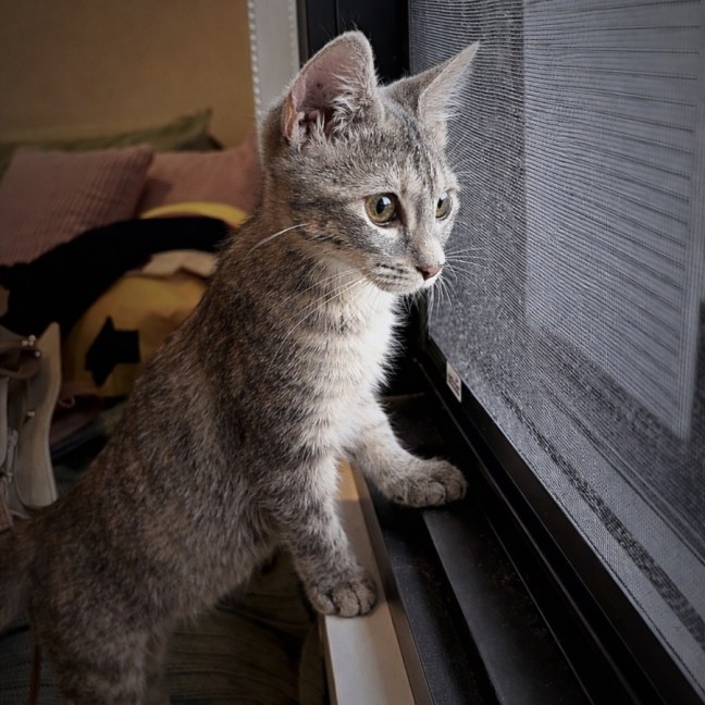 Photo of Maggie 🌈⭐️