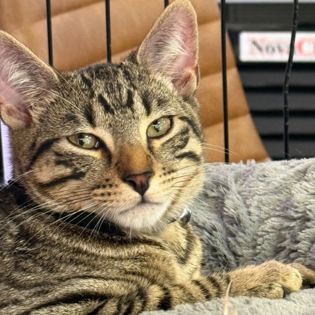 Photo of Mickey 