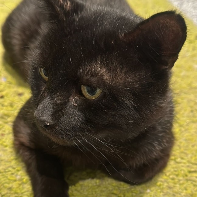 Photo of Thomas