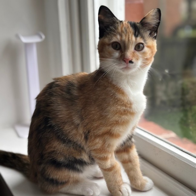 Photo of Haku And Amica