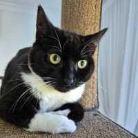 Photo of Benedict (Benny)