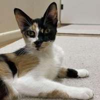 Photo of Charm