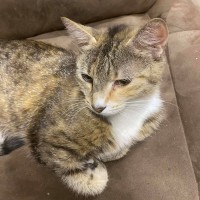 Photo of Orchid (Located 60k North Of Melb Cbd)