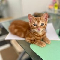 Photo of Chuck