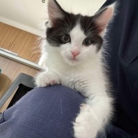 Photo of Benny & Gatsby