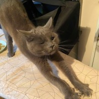 Photo of Little Miss