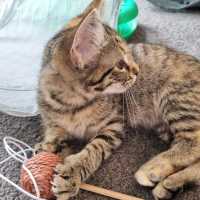 Photo of Maisy