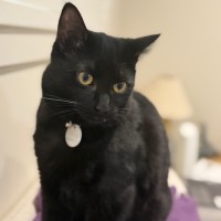 Photo of Luna & Noctis