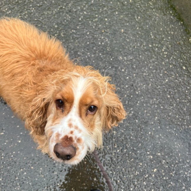 Photo of Ted