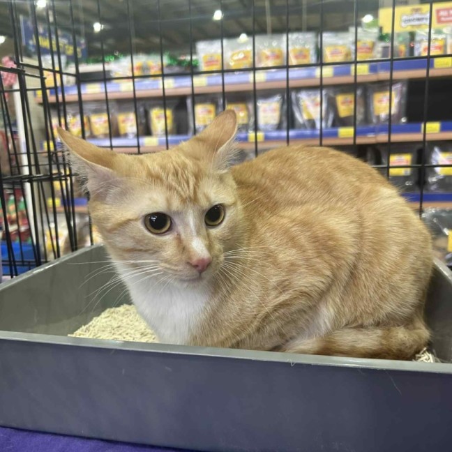 Photo of Jimbo & Samson 