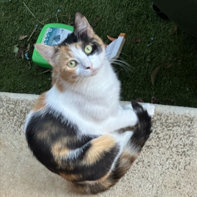 Photo of Maya & Morgan🌻🌼