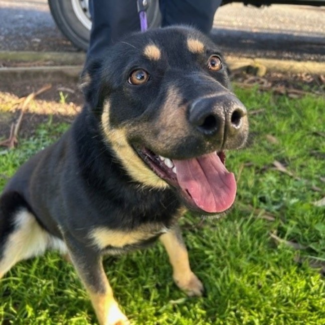 Photo of Hazel