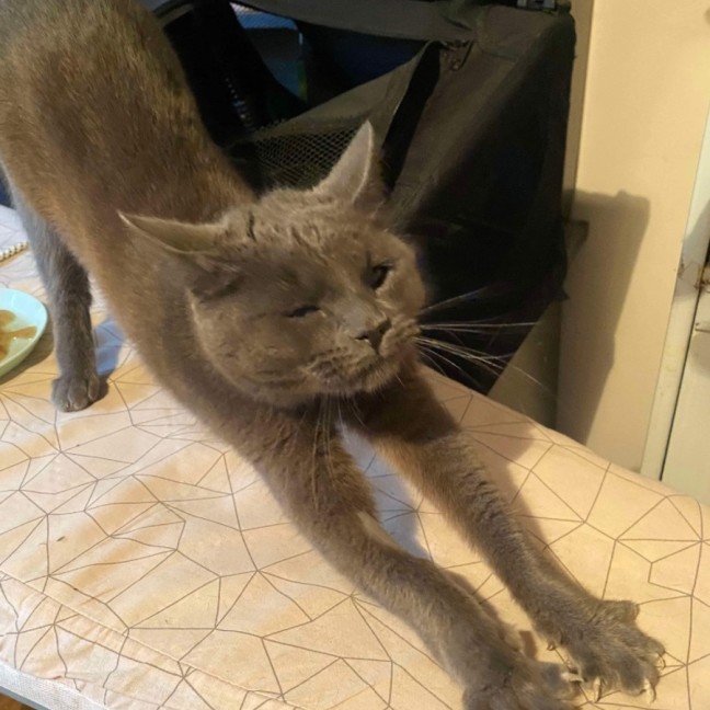 Photo of Little Miss