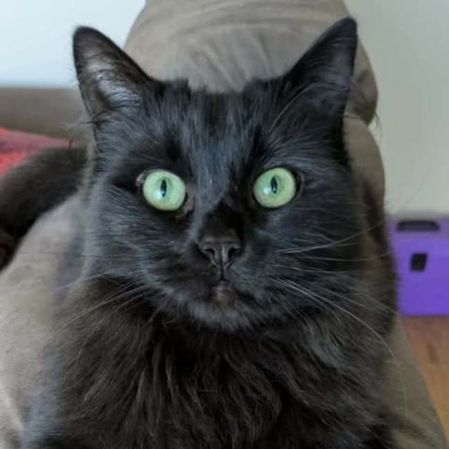 Photo of Nat