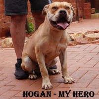 Photo of Hogan