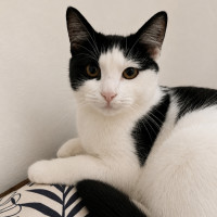 Photo of Mowzii