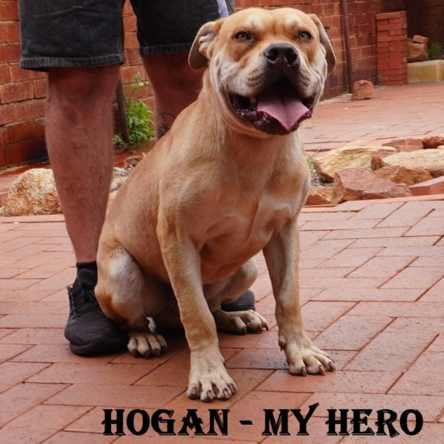 Photo of Hogan