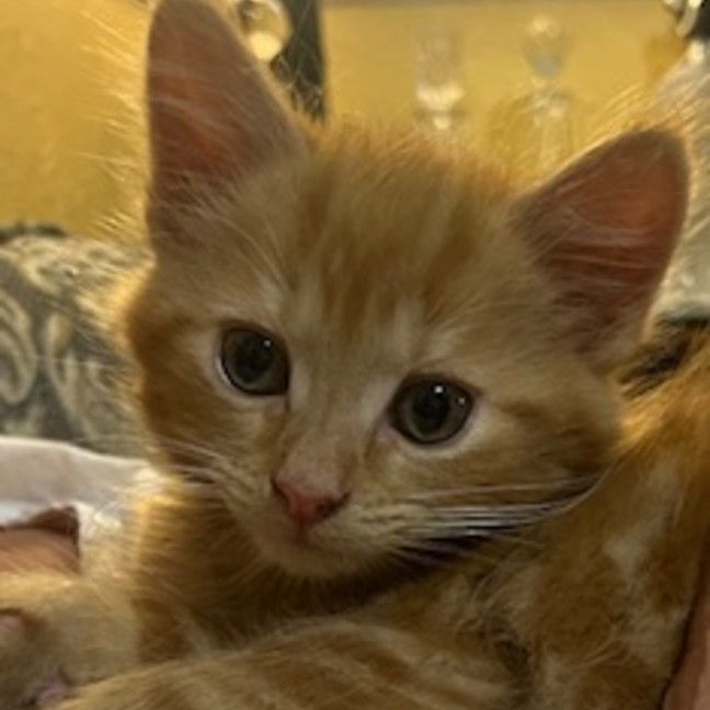 Photo of Artie